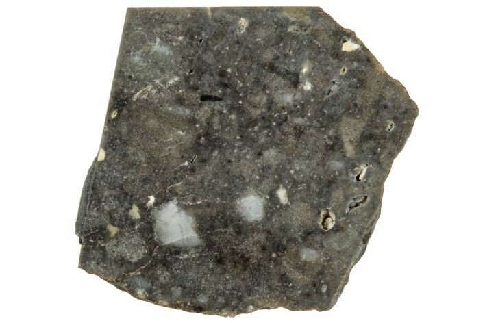 Lunar Meteorite ( g) Slice - NWA #312864